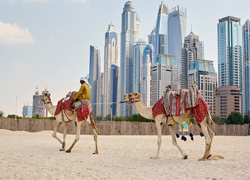 International tours