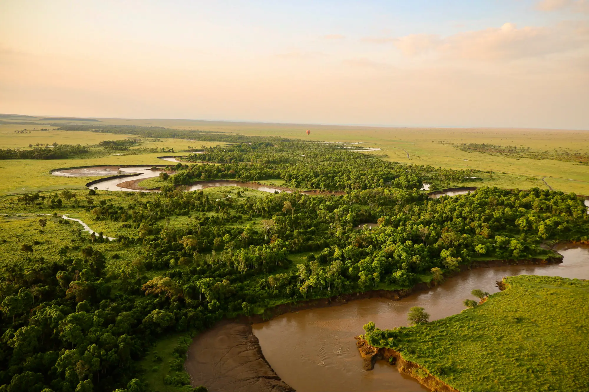 The best time to visit Kenya for a safari